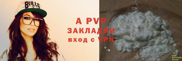 молекула духа Богородицк