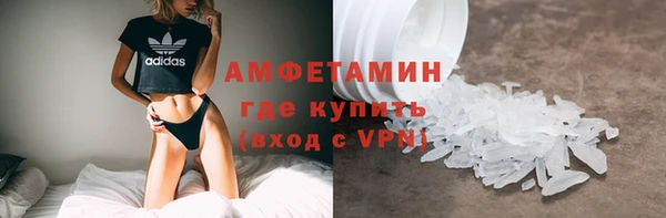 молекула духа Богородицк