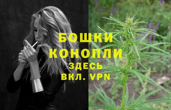 прущие грибы Богданович