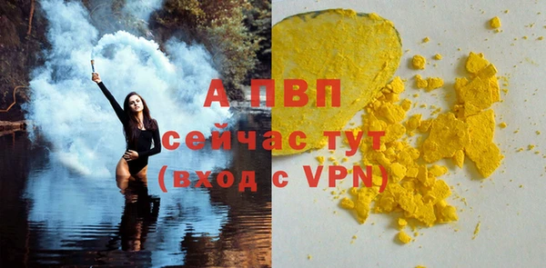 молекула духа Богородицк