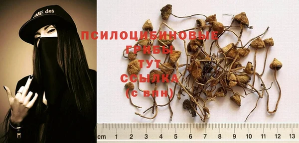 ALPHA PVP Бородино